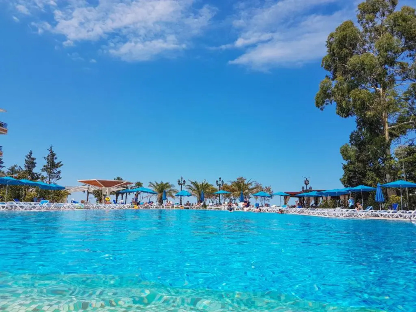 Luxury Dreamland Oasis Apartments