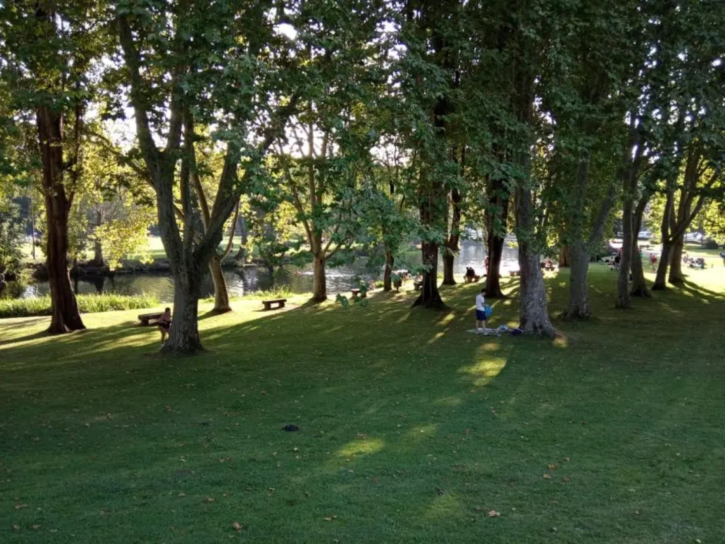 Apartamento CASCO HISTÓRICO