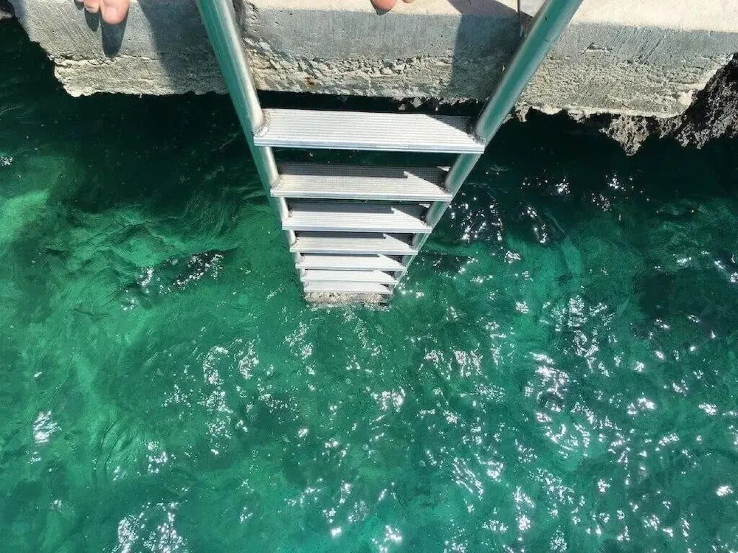 Palm Bluff 2 Bedroom Cottage