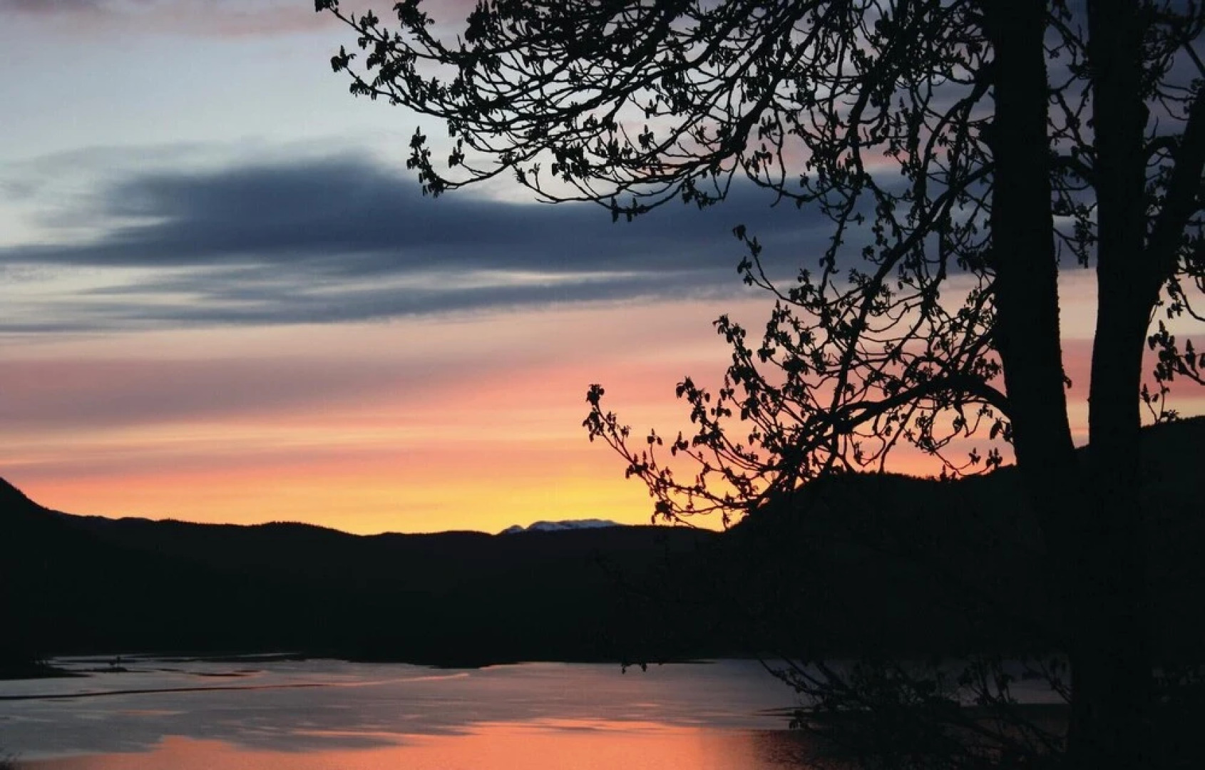 Beautiful Home in Fyresdal With 3 Bedrooms and Wifi