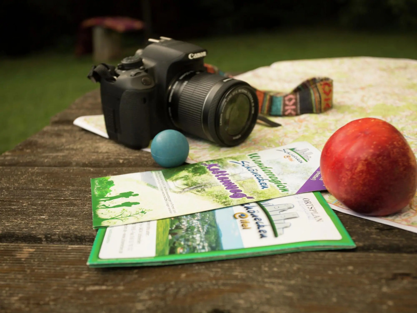 Chalet in Reinskopf With Fireplace and Balcony