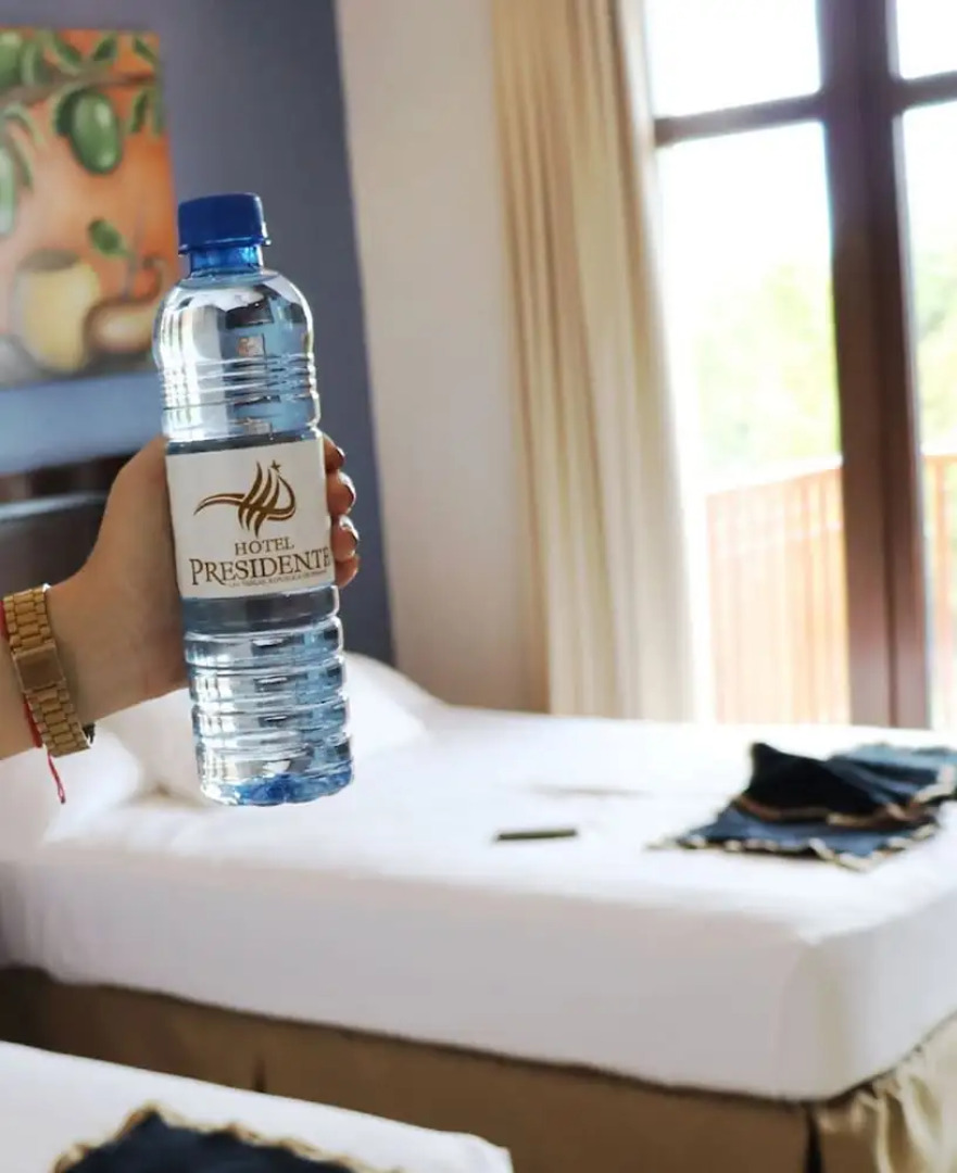 Hotel Presidente