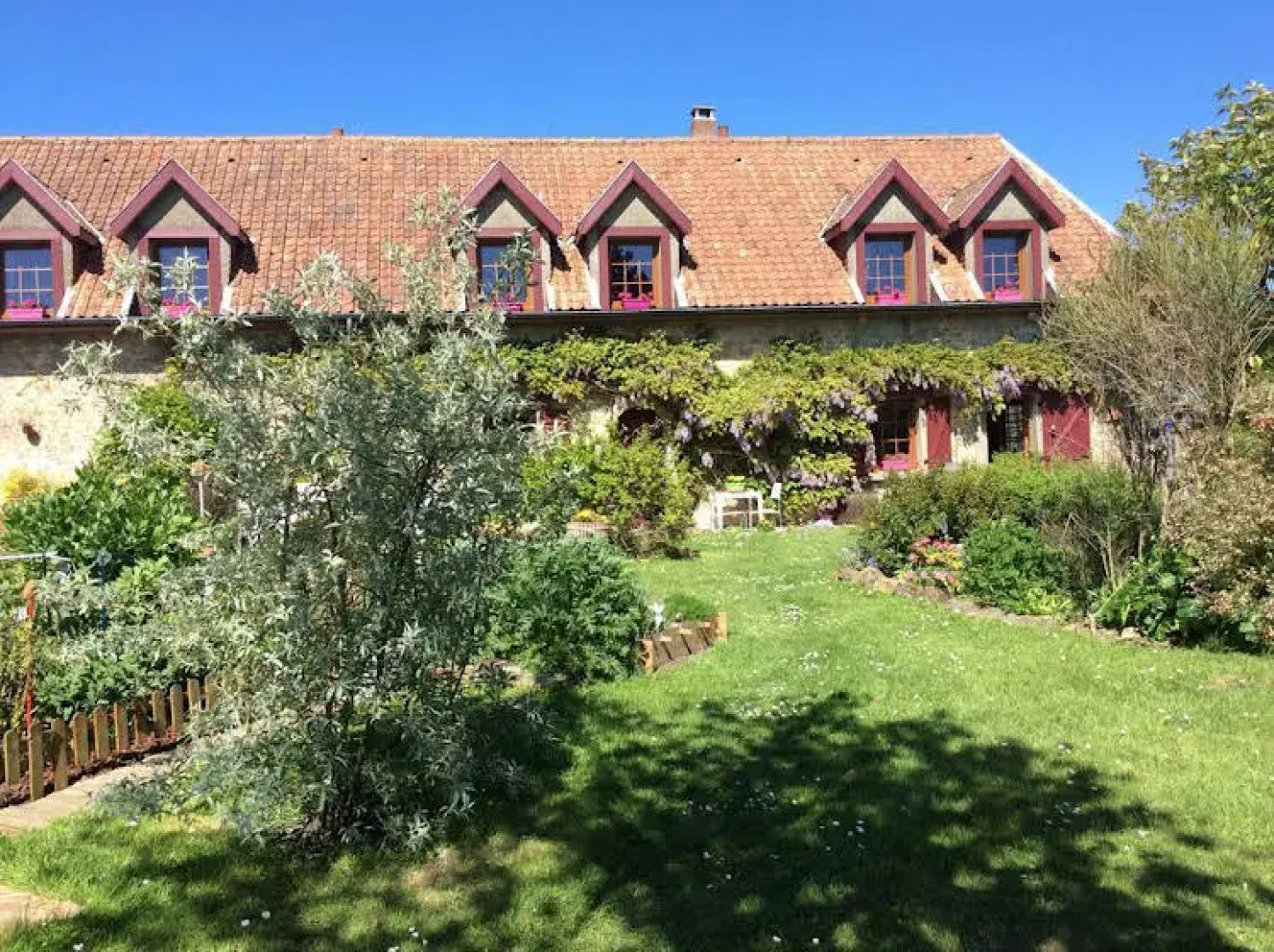 La Glycine du Boulonnais