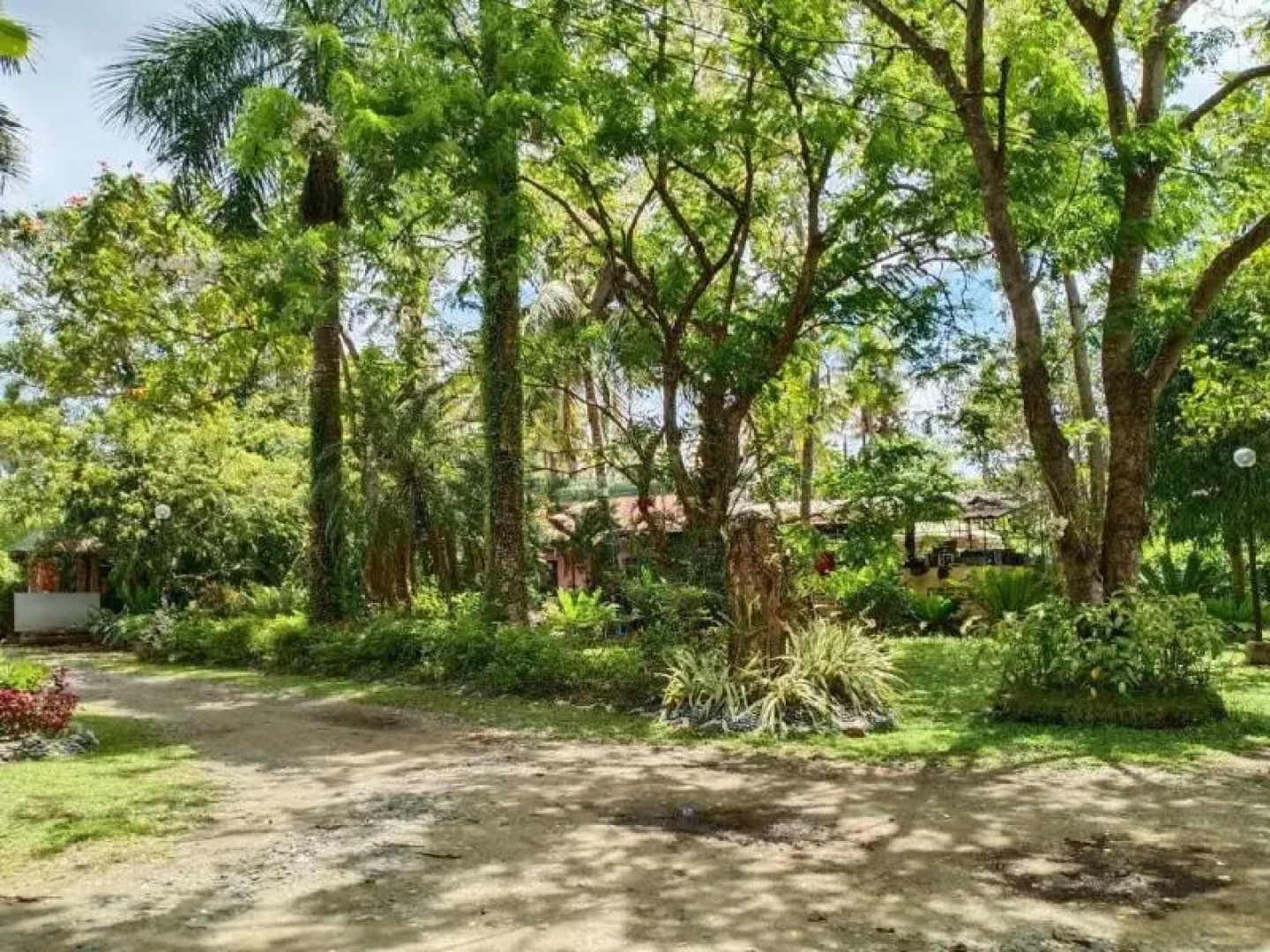 RedDoorz Plus @ Costa Roca Balamban