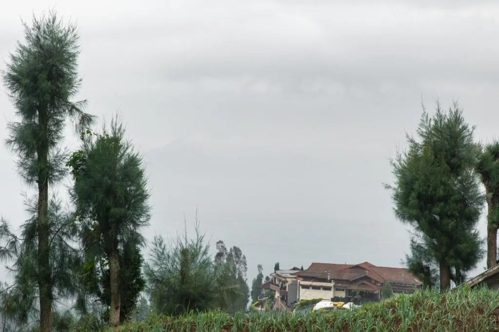 OYO 1719 Penginapan Rizky