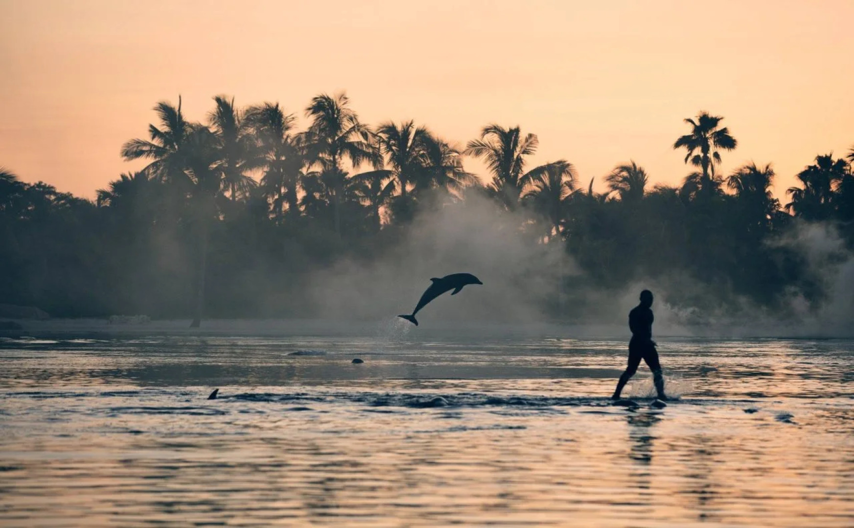 The Cove at Atlantis
