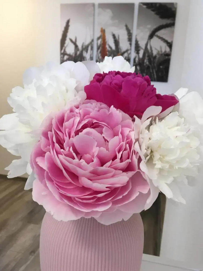 Schmid - Zimmer auf Zeit