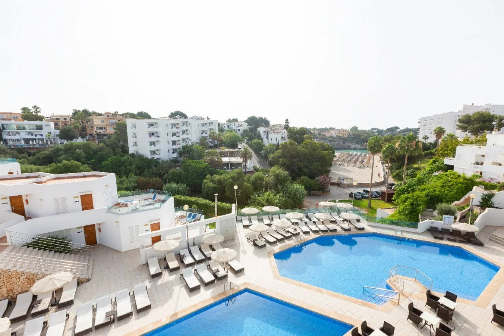 Marsenses Ferrera Blanca Adults Only