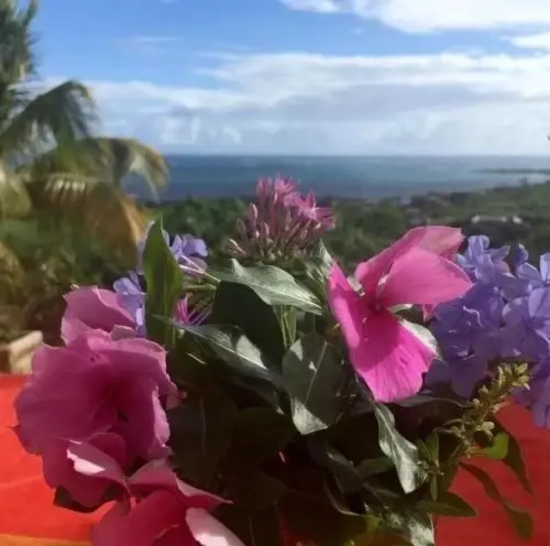 Clos Moana Ocean Sud-Est