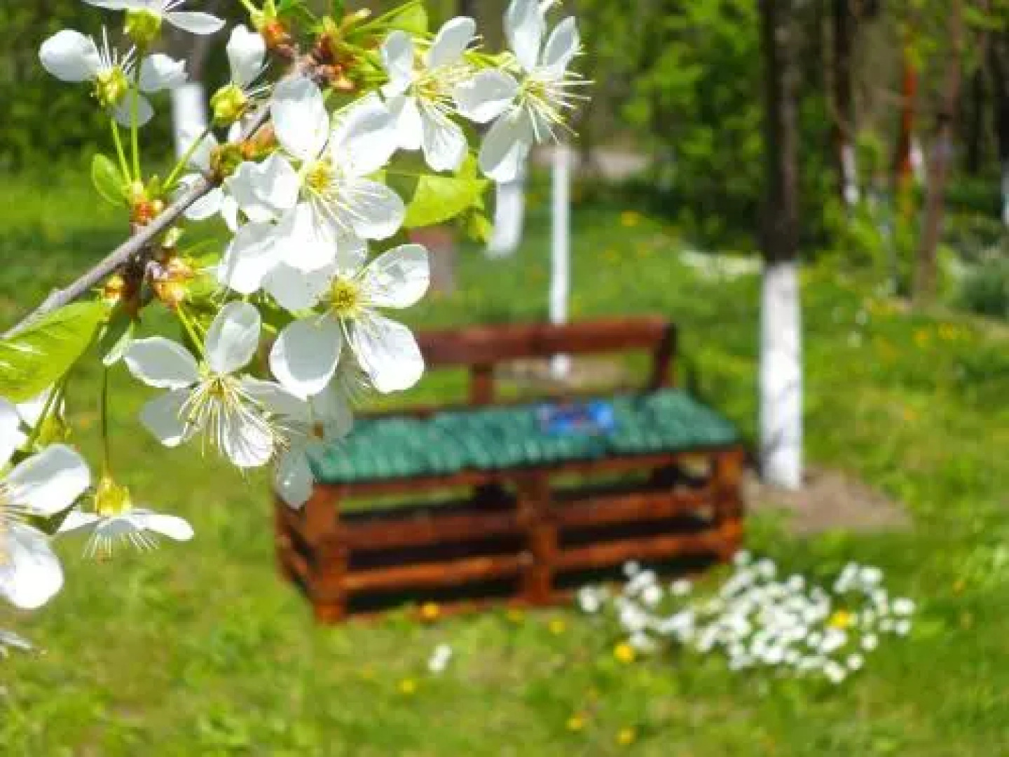 Pensiunea Valea Cernei