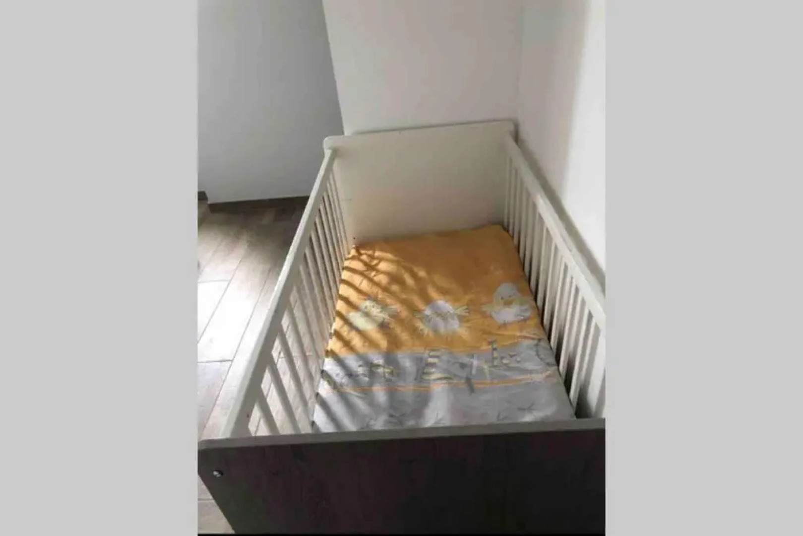 Maison de charme avec piscine couverte et 9000m2