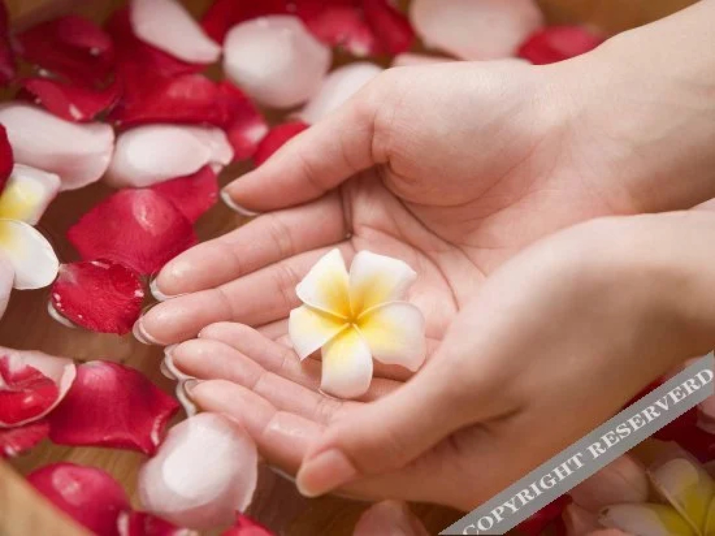 Techeng Island Resort