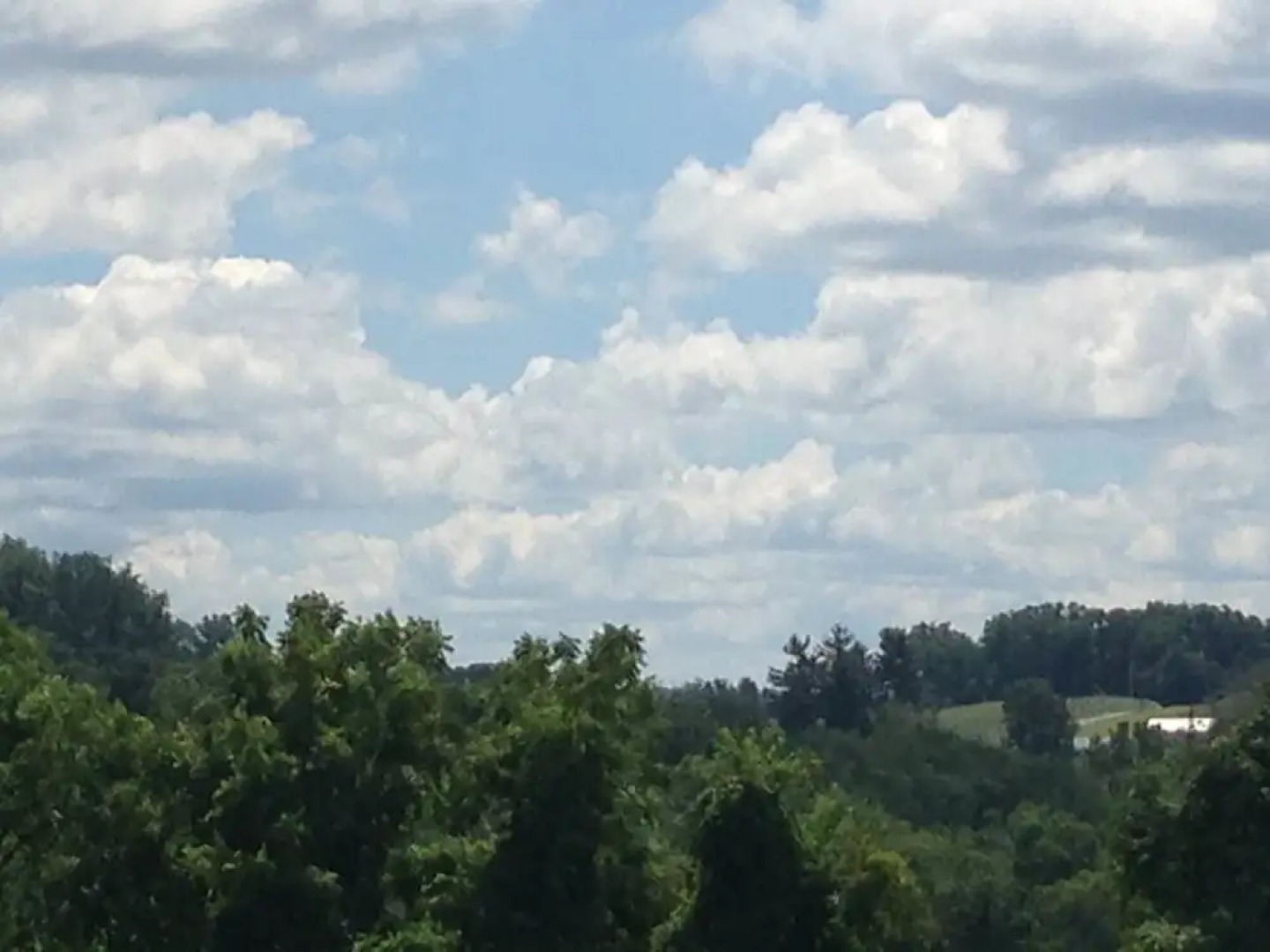 The Dragonfly Bed and Breakfast