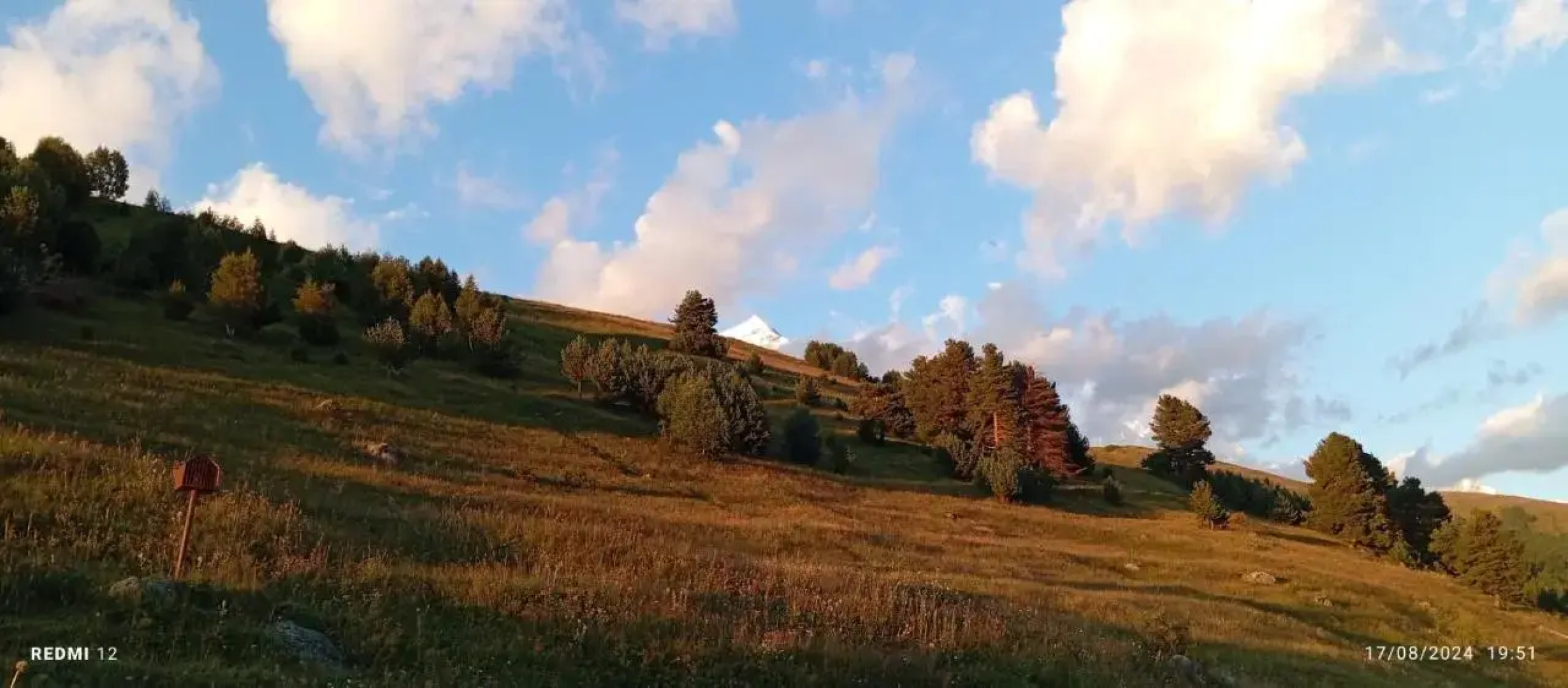 Elizabeth's Guest House