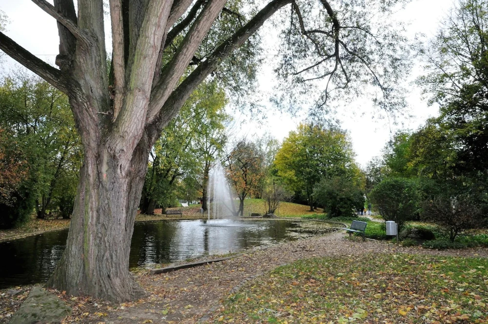 Apartments am Freizeitpark