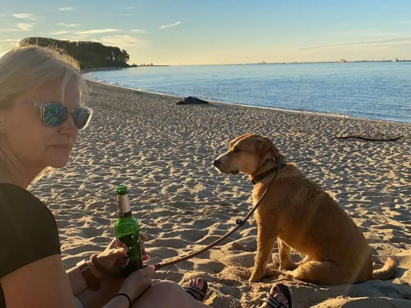 Holiday Apartment Elbe