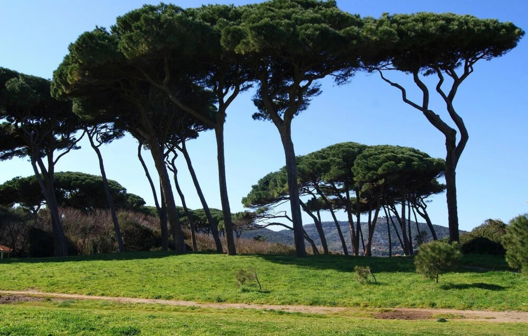 Awesome Apartment in Follonica With Wifi and 2 Bedrooms