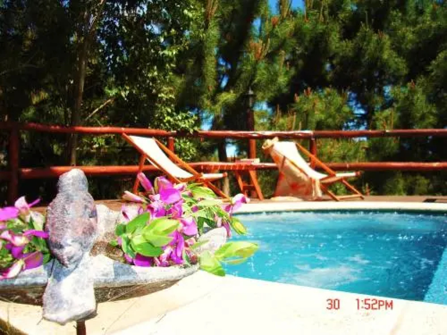 El Remanso del Bosque Apart