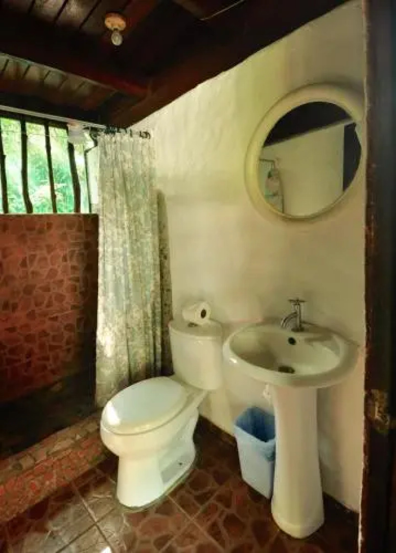 The Howler Monkey Hotel