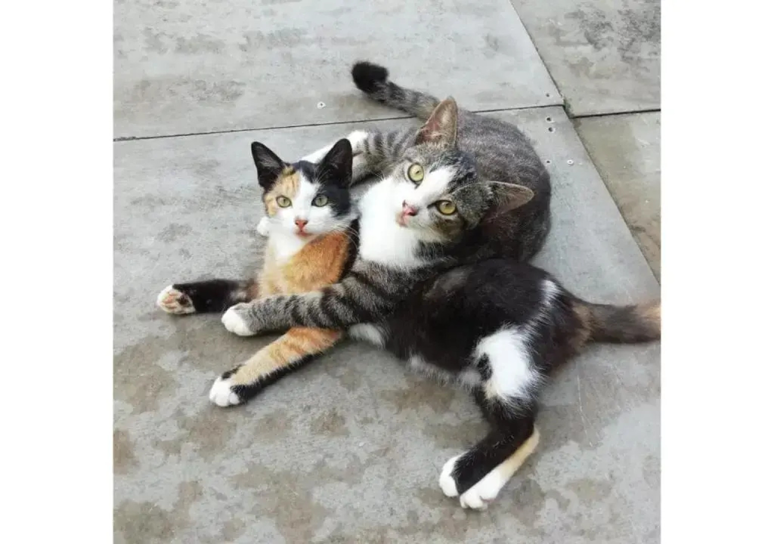 Relaxing House Koh Yao Yai