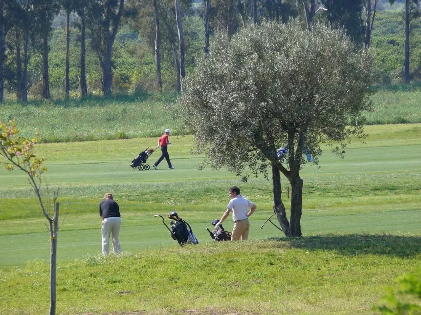 Golf Club Metaponto