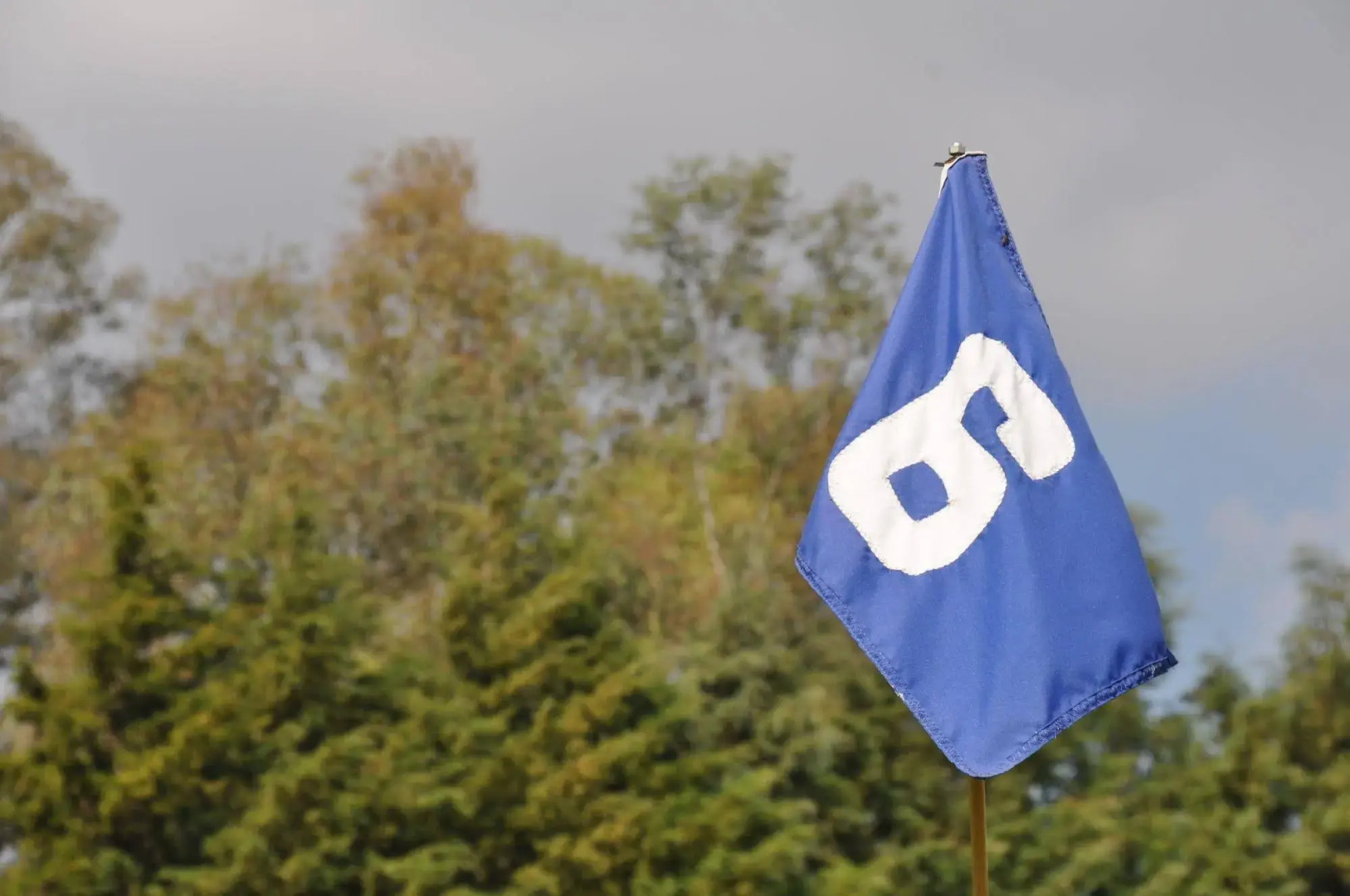 Posada Los Eucaliptus