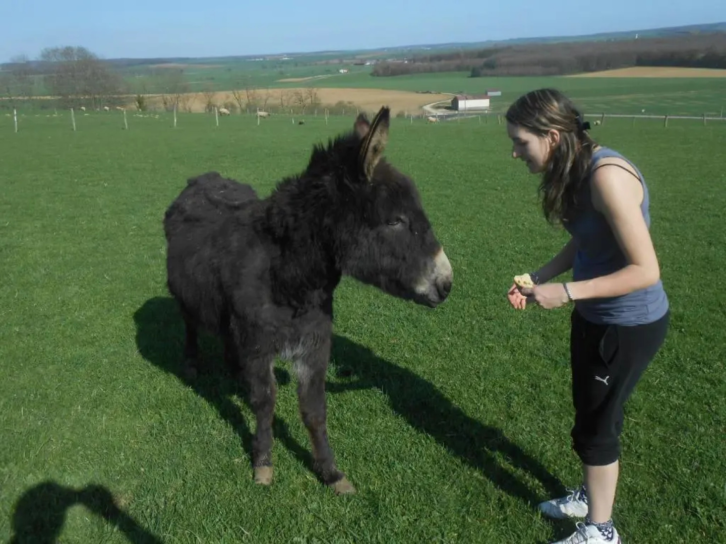 La Ferme des 3 Suissesses