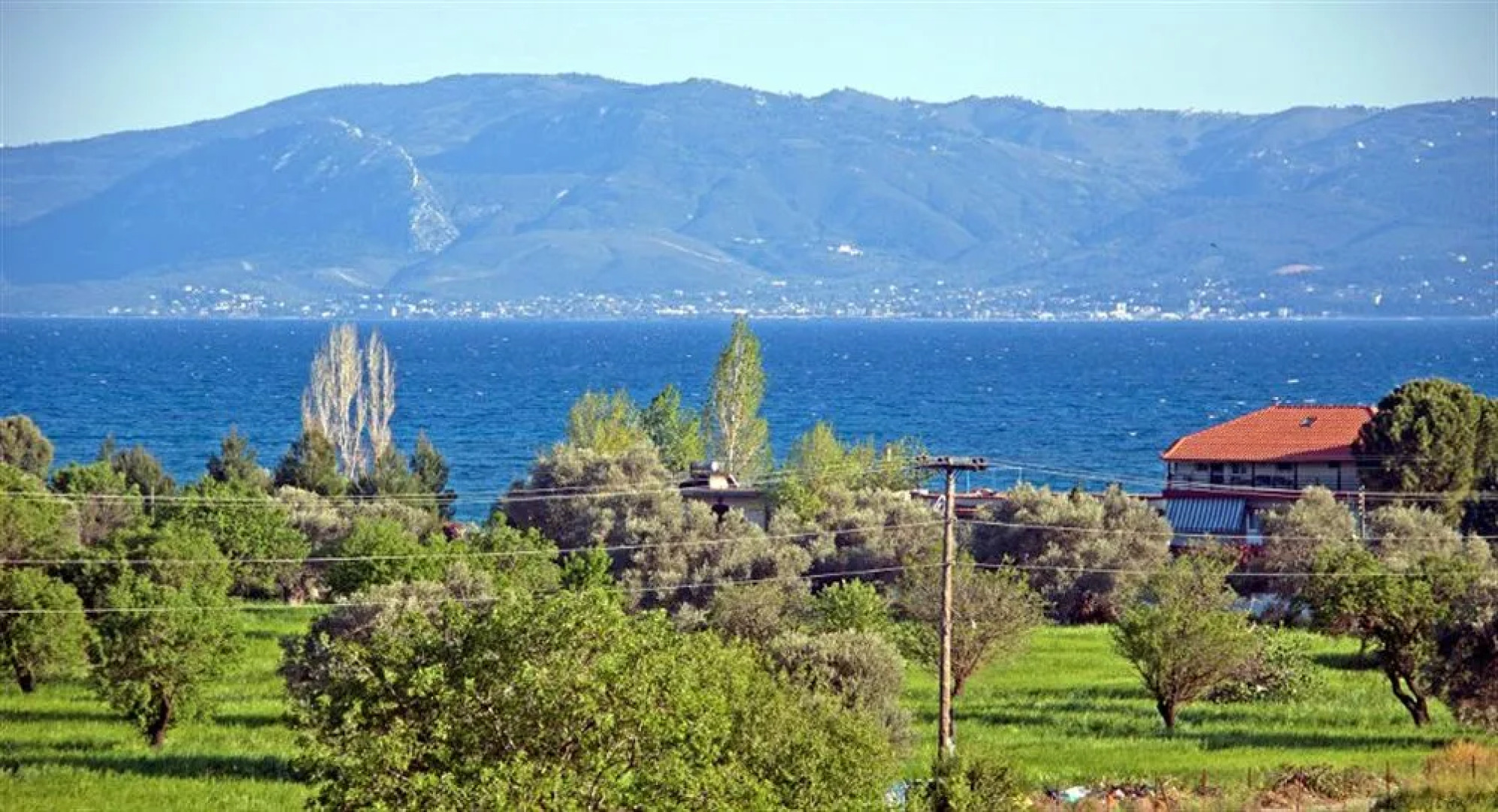 El Greco Eretria
