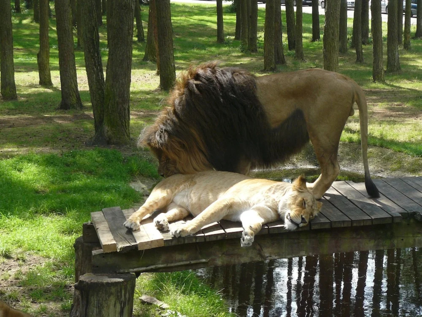 Modern Holiday Home in Wietzendorf Germany with Terrace