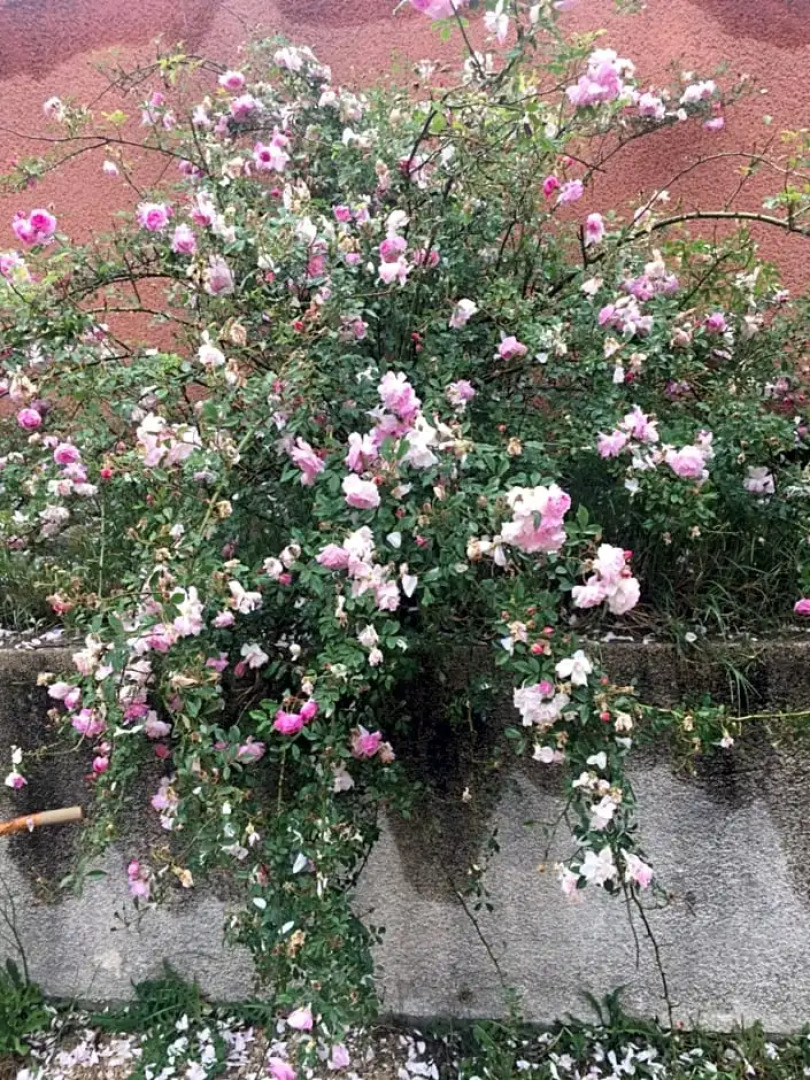 Chambre spacieuse independante dans villa plus parking privee