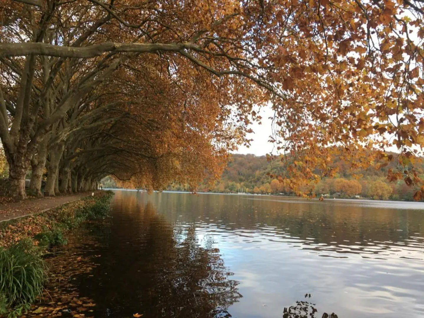 FRANKES LODGE Apartment mit Garten und Pool