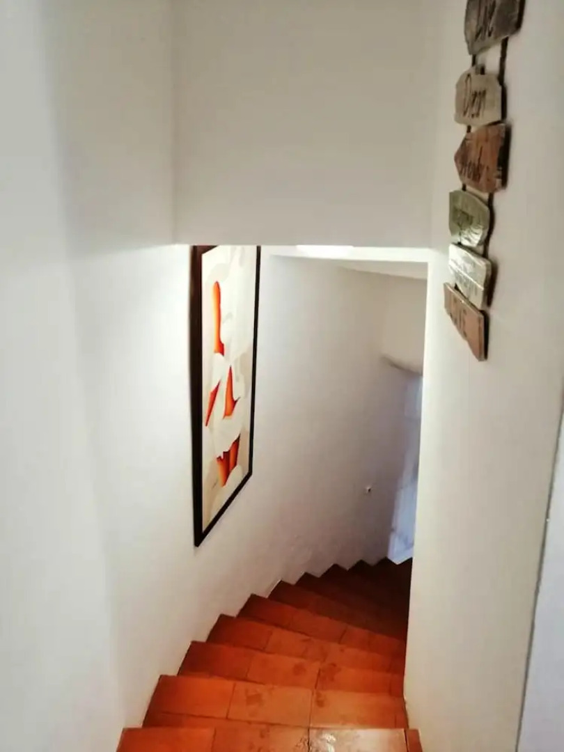 House With 3 Bedrooms in Anadia, With Wonderful Mountain View, Enclosed Garden and Wifi