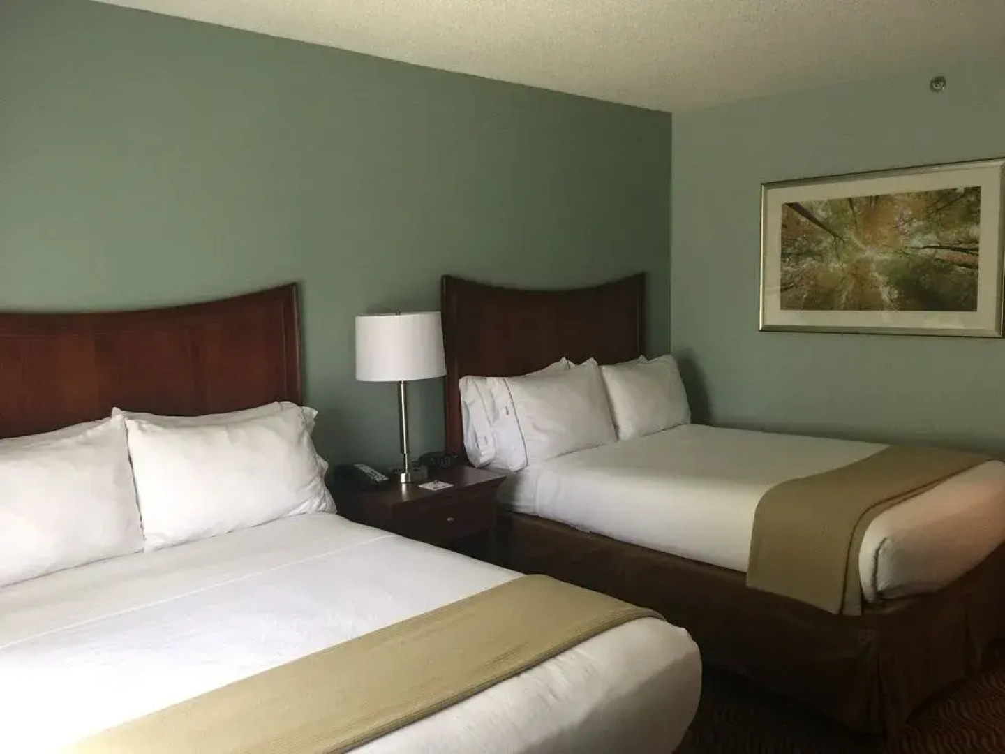 Holiday Inn Express Braselton