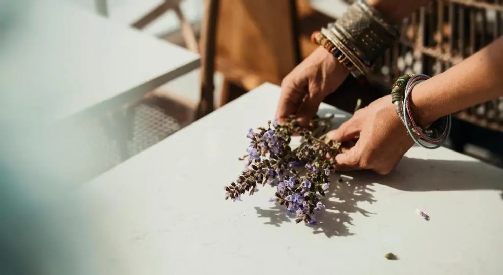 Aelia Wellness Retreat