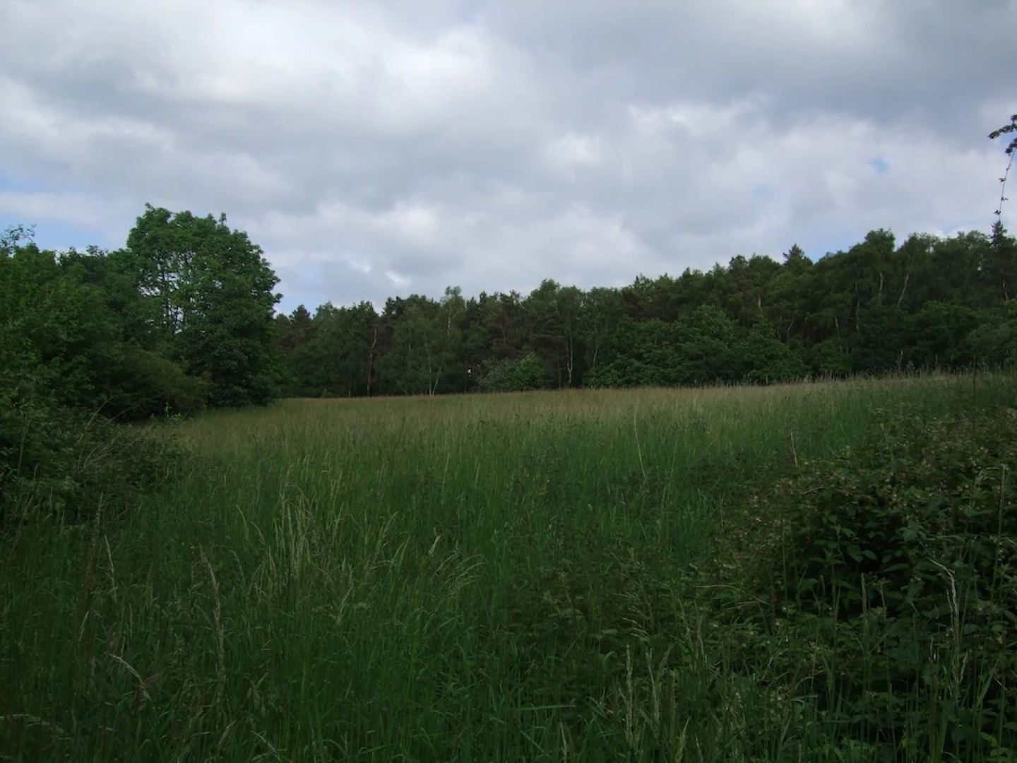 Parkhotel Hammerberg