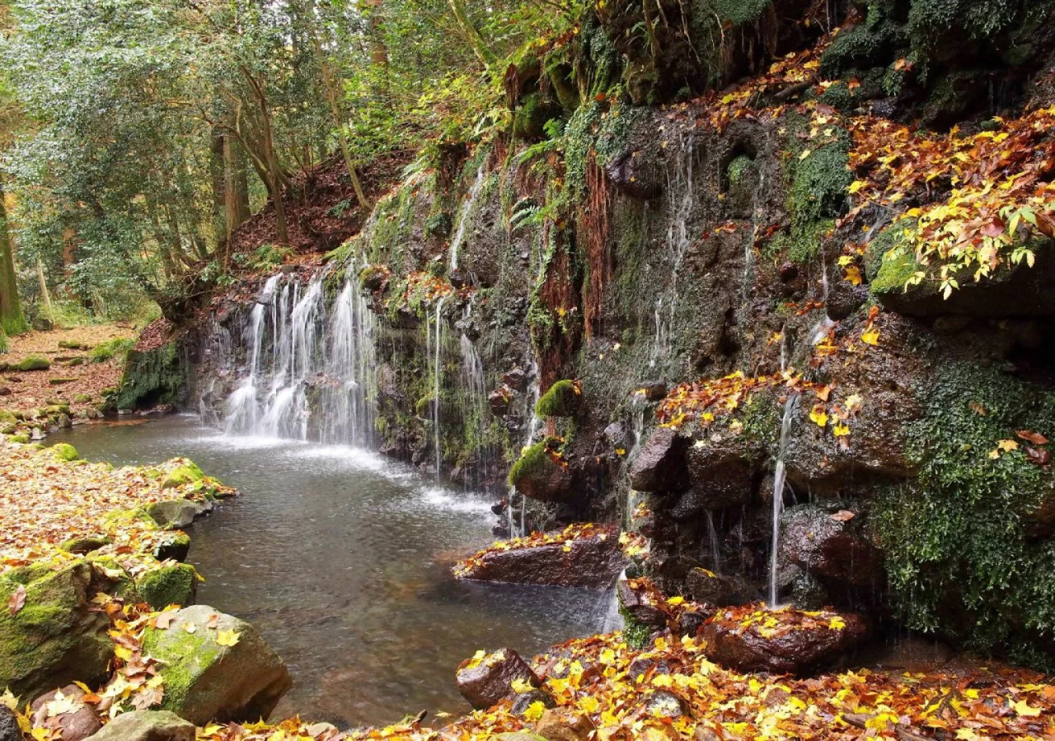 Shirayunoyado Yamadaya Hakone Gora