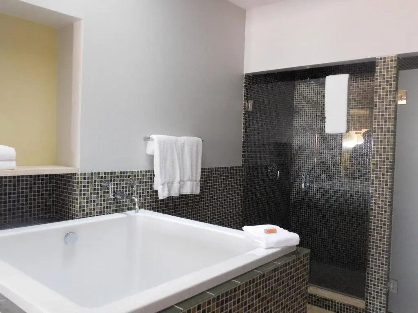 Pietra at the Stone House 1854