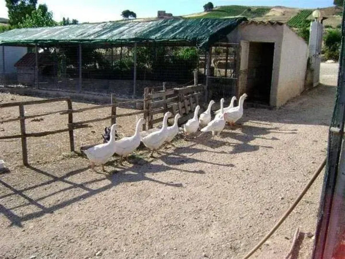 Agriturismo Fattoria Spezia