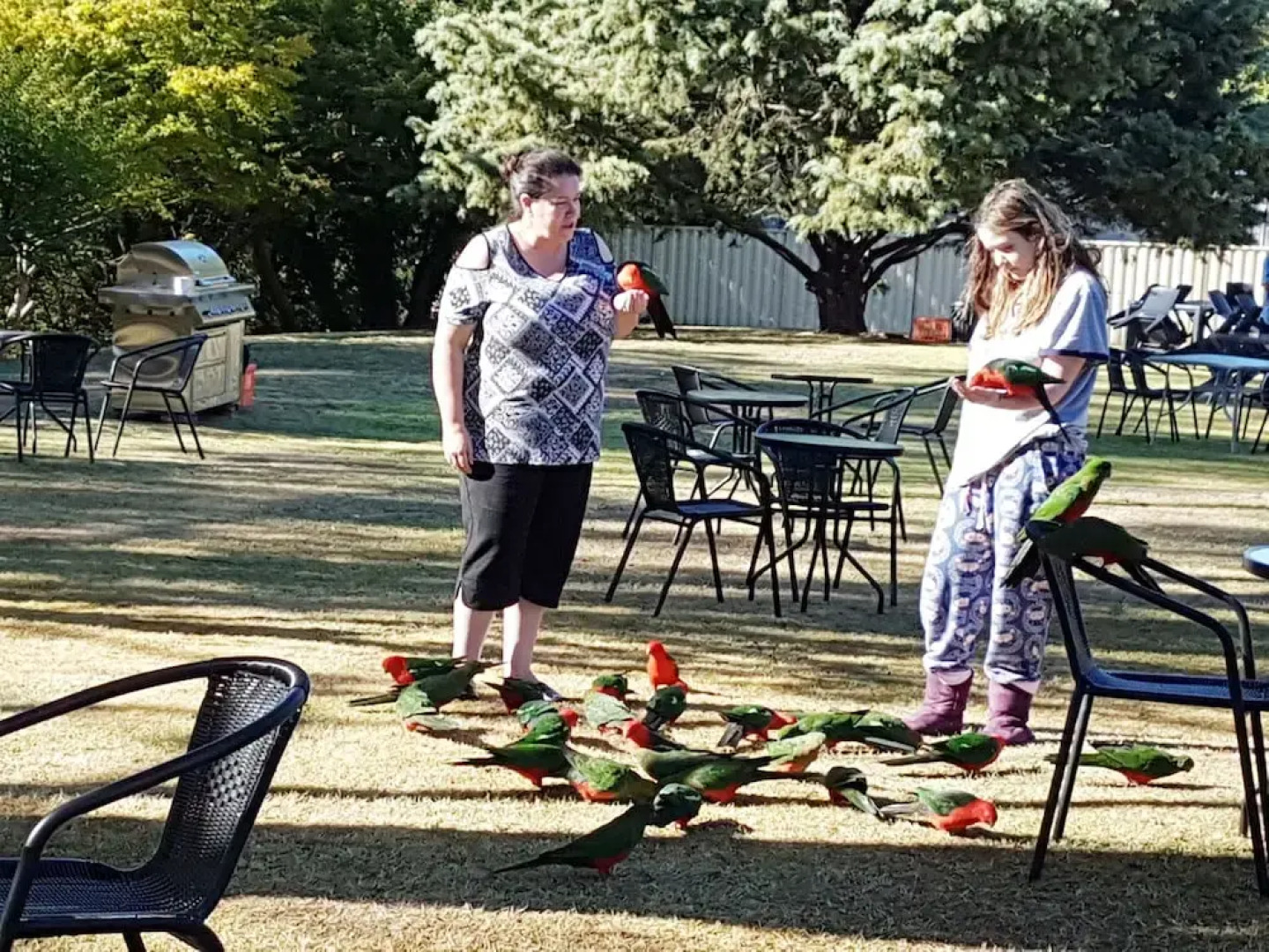 Eildon Parkview Motor Inn