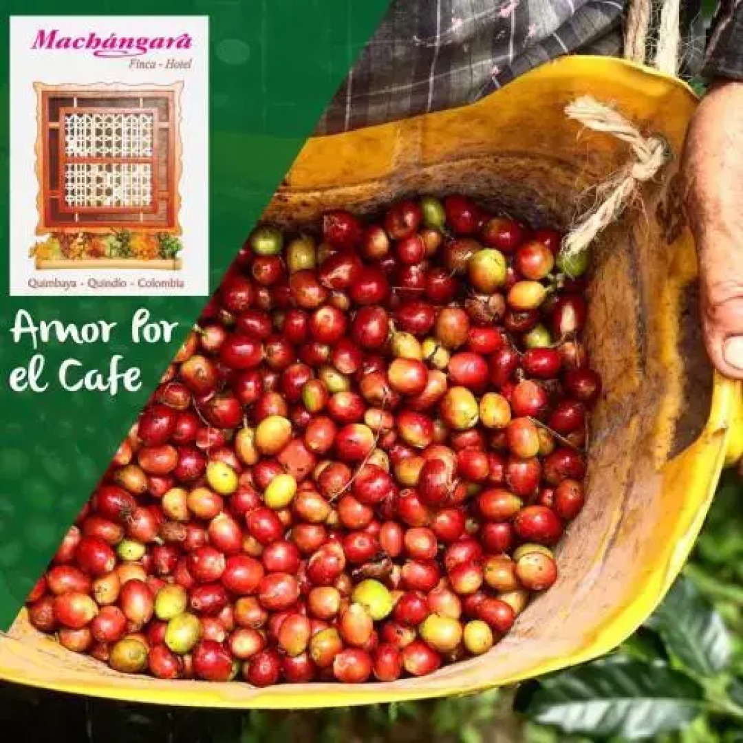 Finca Turistica Machangara