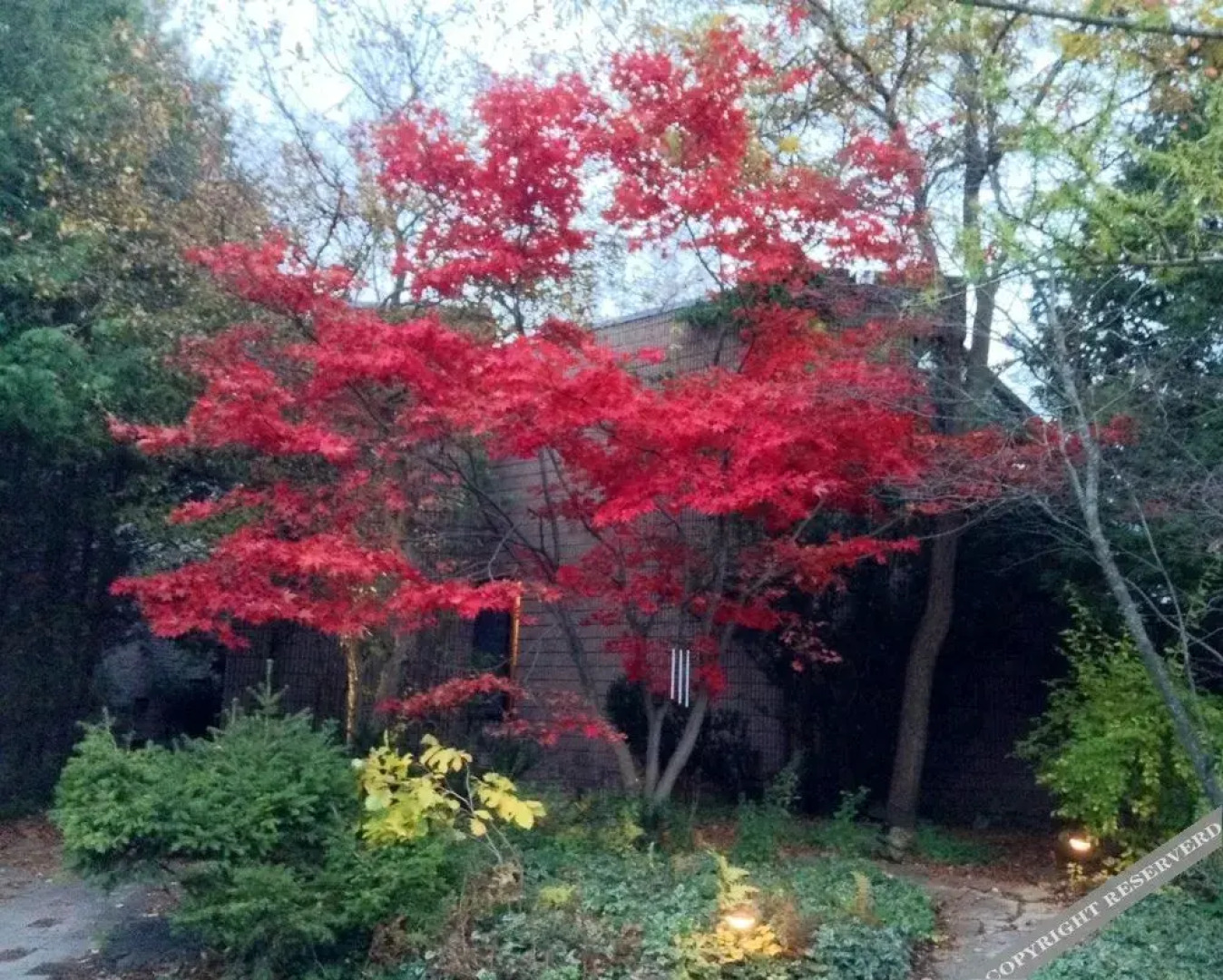 225 Lakeland Bed and Breakfast.