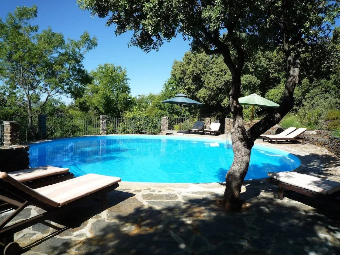 Enjoy Nature While Staying in a Small Complex With Common Pool