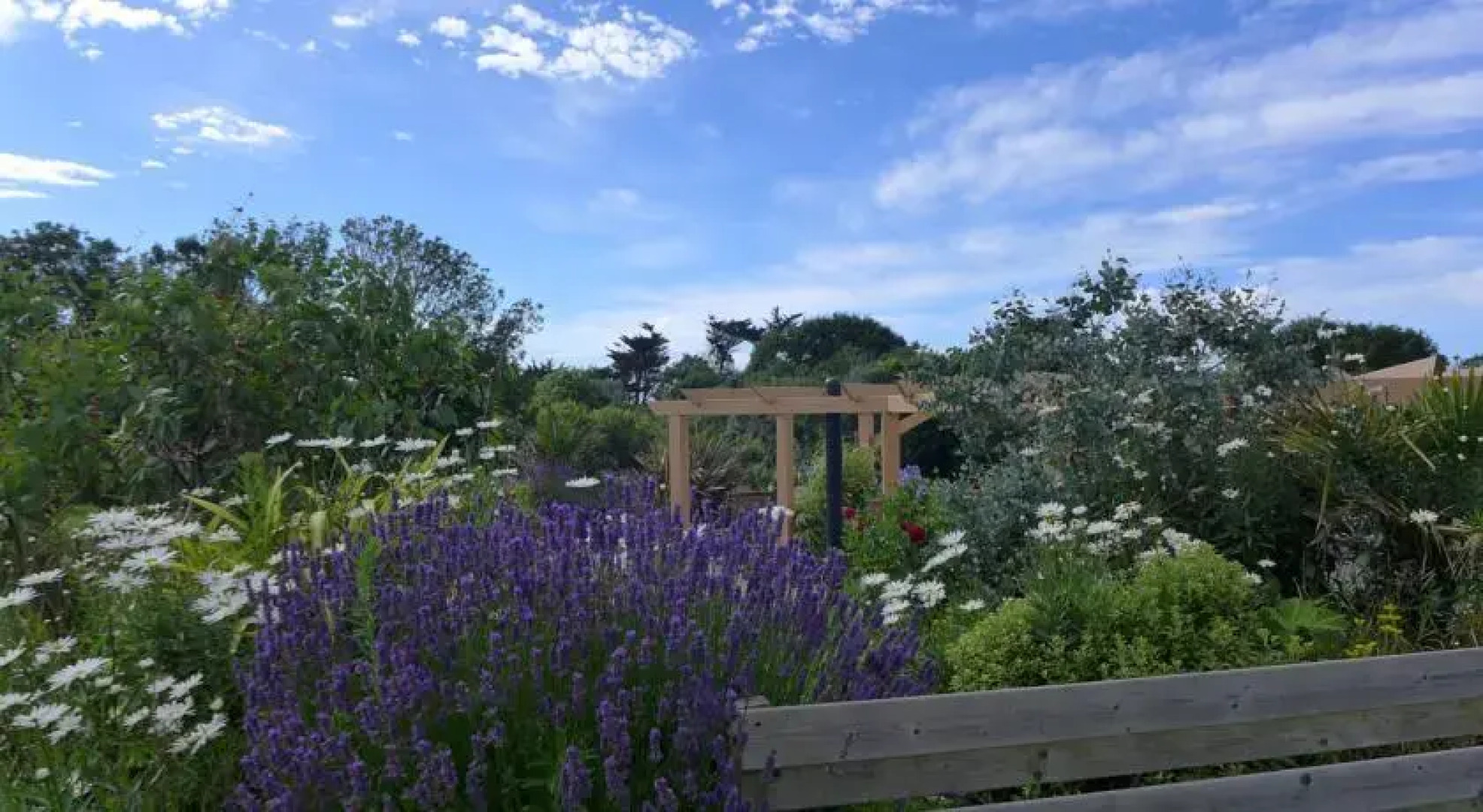 Au Jardin de la Nymphe Bleue