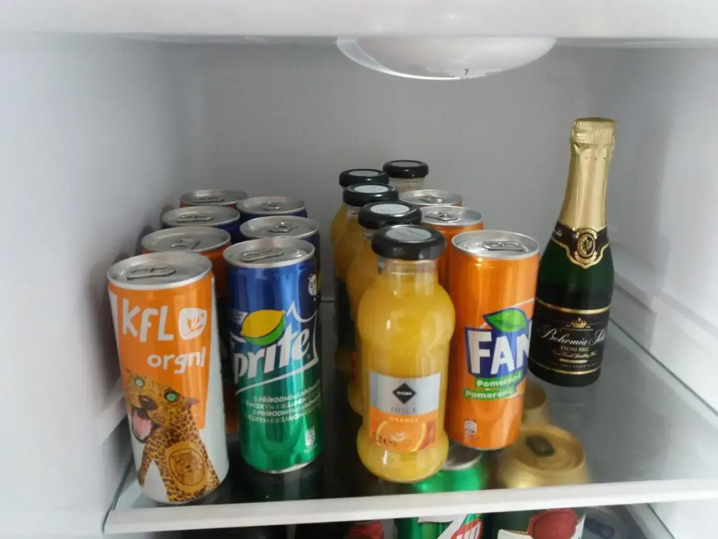 Apartmán se zahrádkou v krásné čtvrti Berouna