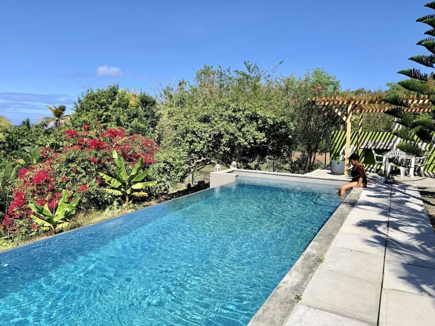 A Paradise View