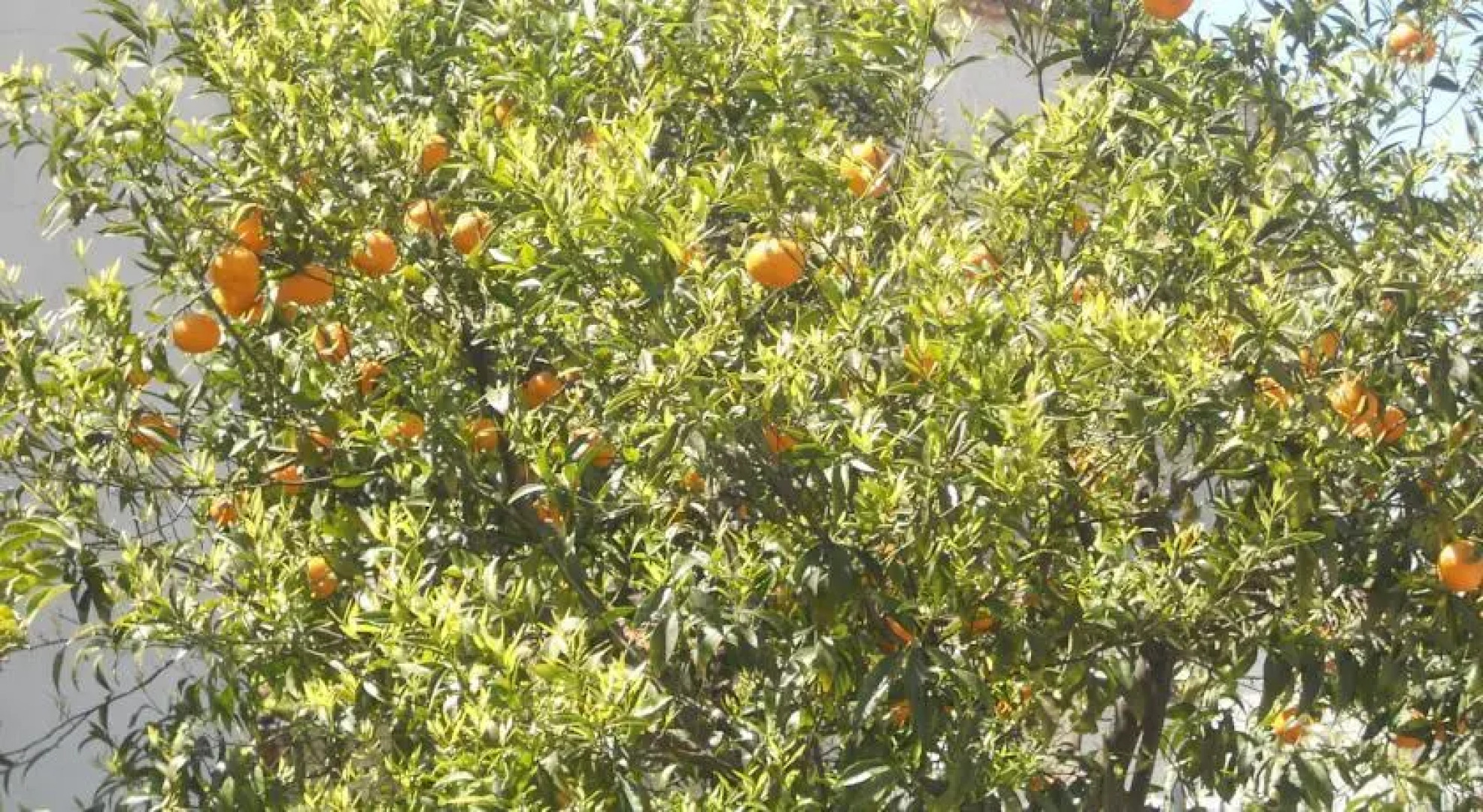 Casa Vacanze Minturno