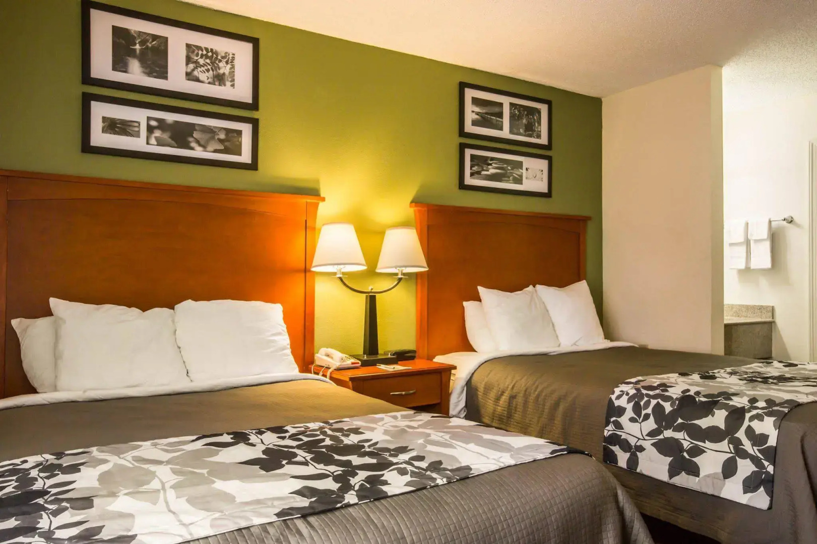 Sleep Inn Macon I-75