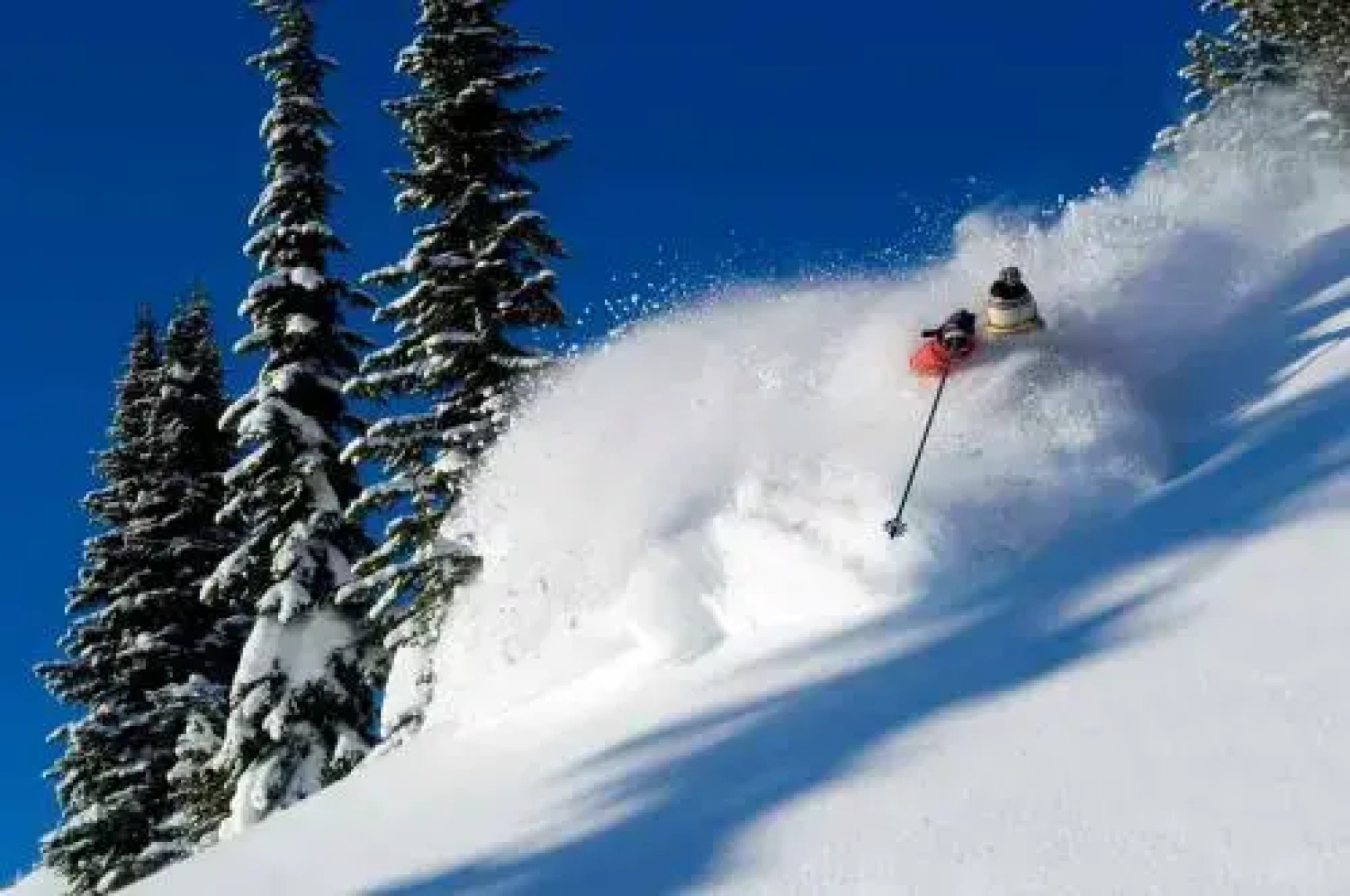 Erlebnisgasthof Alpina