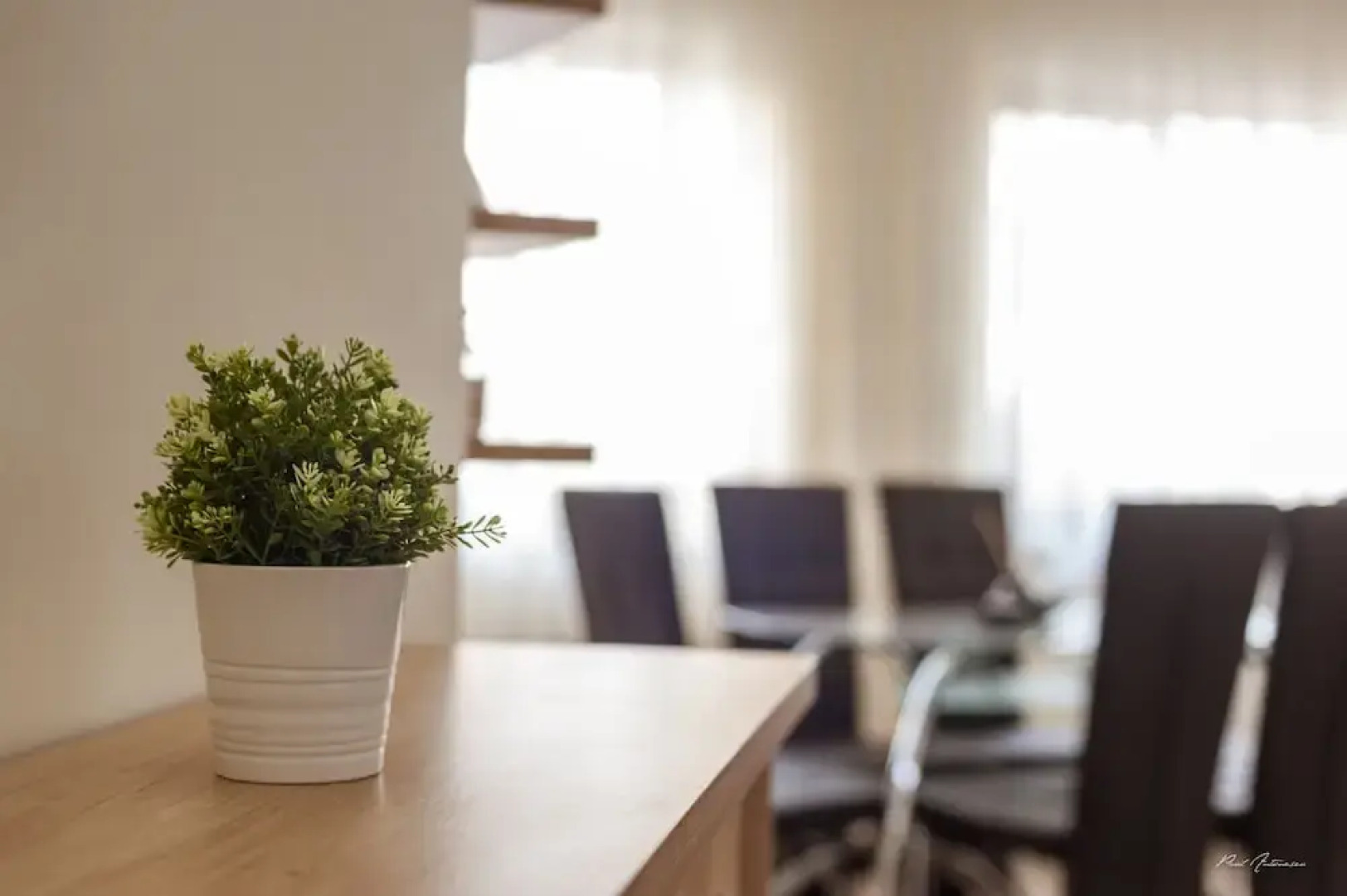 Dany Luxury Apartment