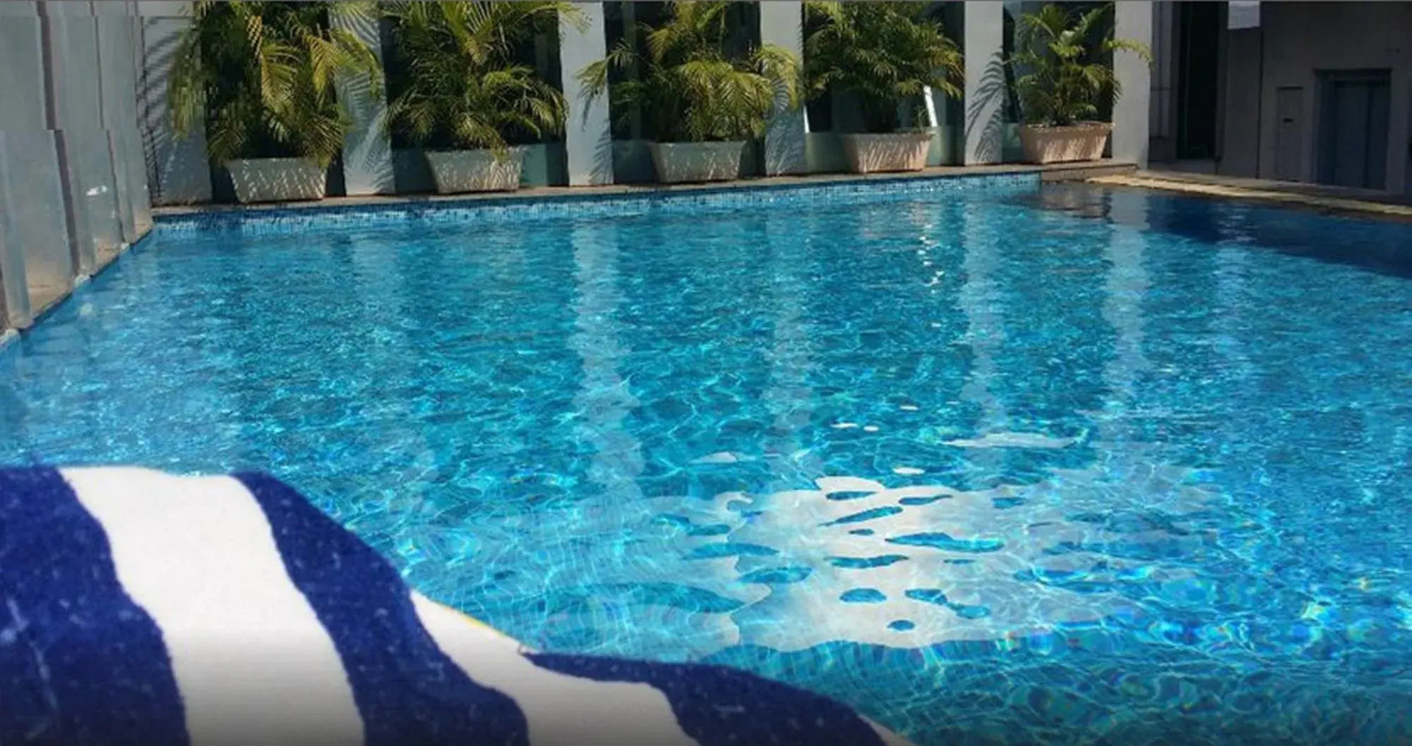 Royal Orchid Central Grazia